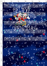 CATALOG - PREORDER - Christmas Globes - Panel - Believe - Navy - CHILD