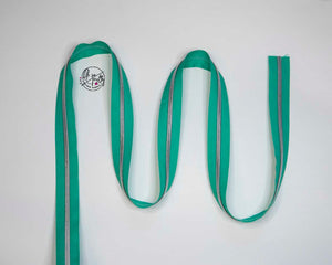 RETAIL Zipper Tape - Teal Tape with Silver coils